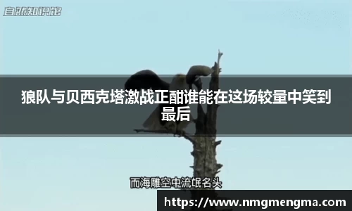 关键词3