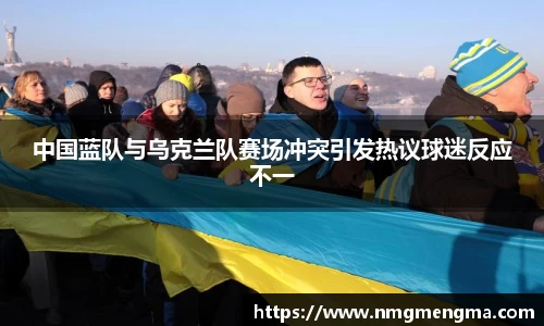 中国蓝队与乌克兰队赛场冲突引发热议球迷反应不一
